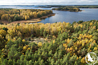Осенний пейзаж острова Крутояр_ФГБУ Нижне-Свирский.JPG