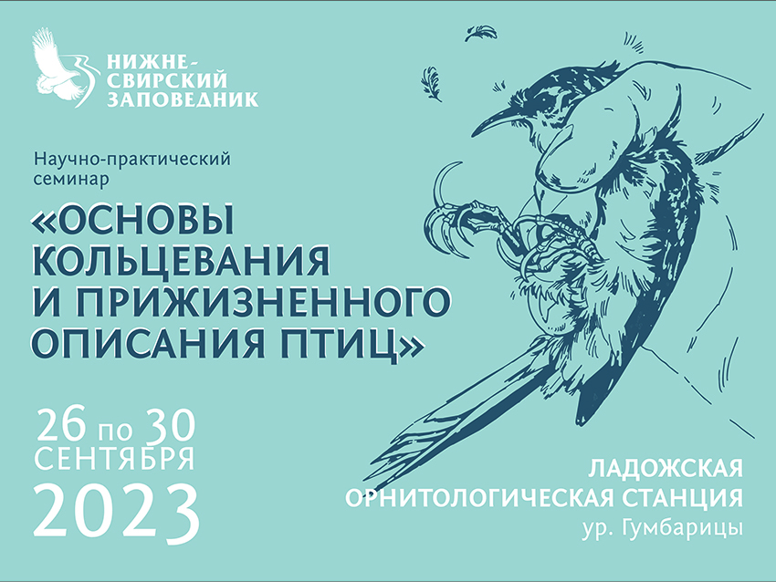 2009.jpg