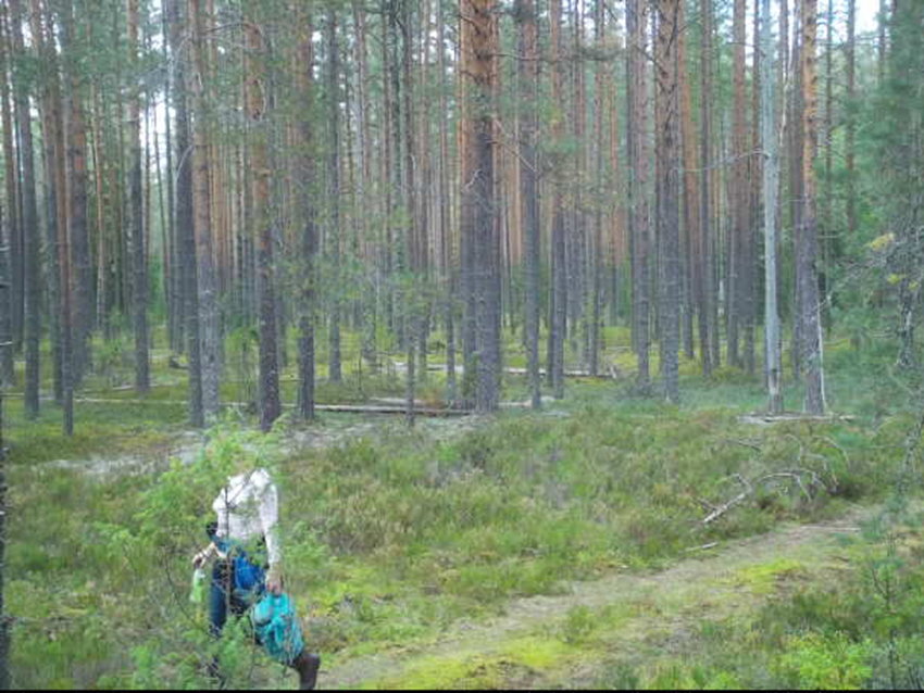 Фотоловушка нарушитель.jpg Фотоловушка нарушитель.jpg