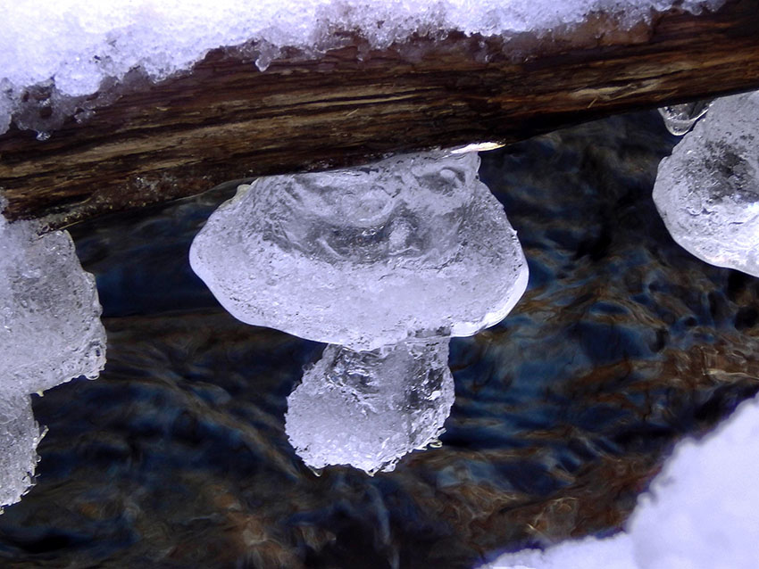 ледяные-грибы.jpg