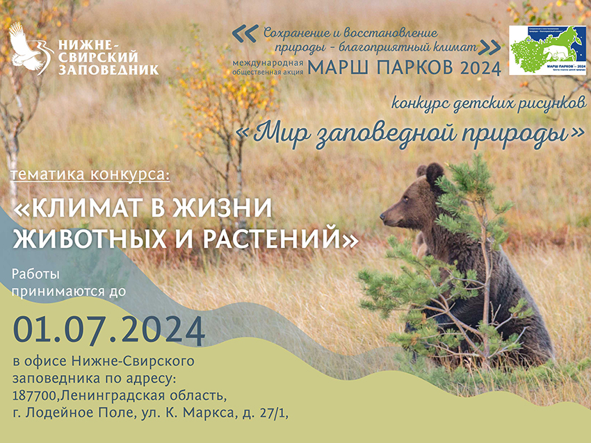 афиша марш парков 2024 850.jpg