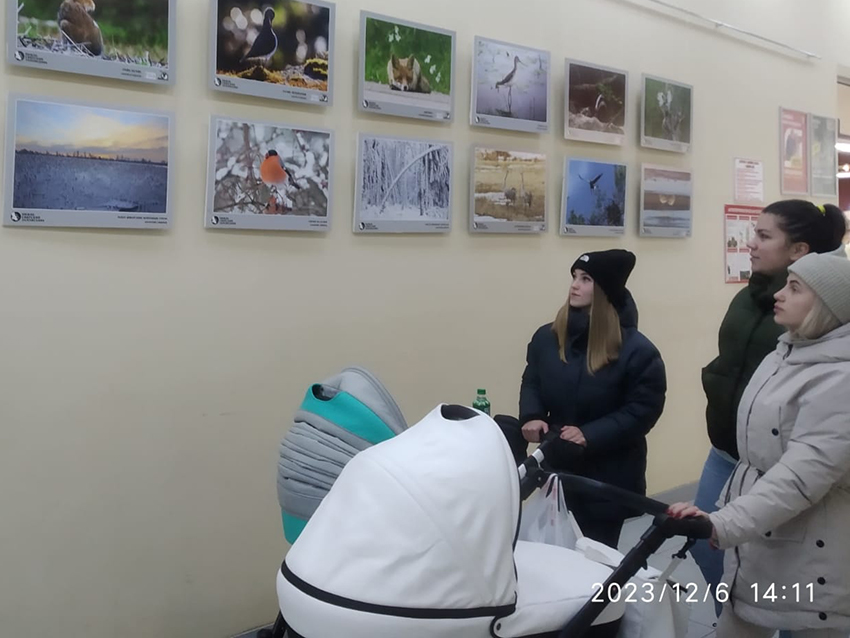 Выставка3.jpg