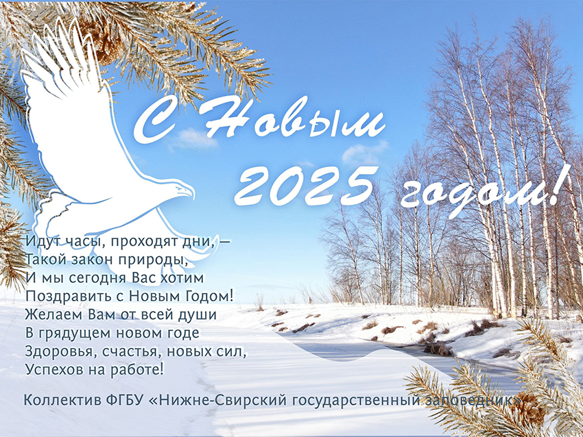 Новый год.jpg Новый год.jpg